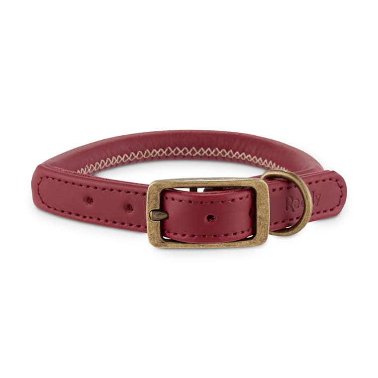 burgundy leather dog collar
