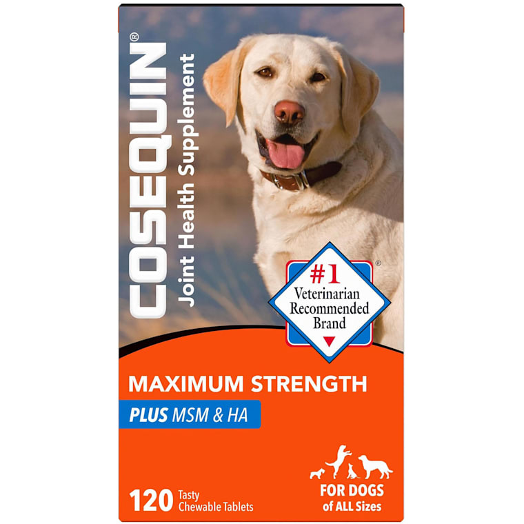 cosequin for dogs
