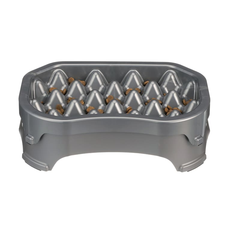 petco slow feeder bowl