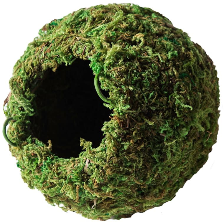 Galapagos Mossy Cave Hide, Small | Petco