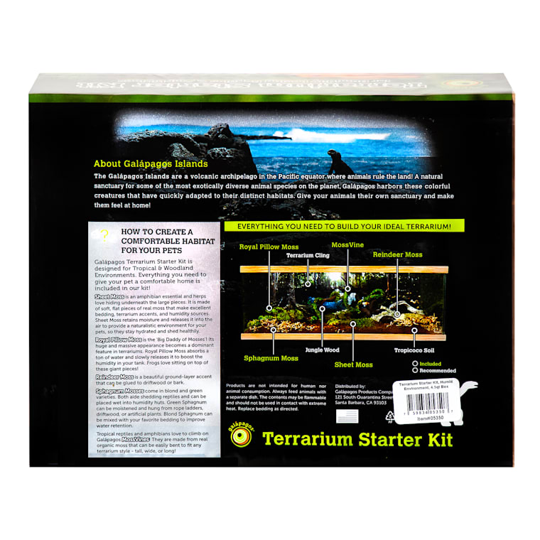 petco reptile starter kit