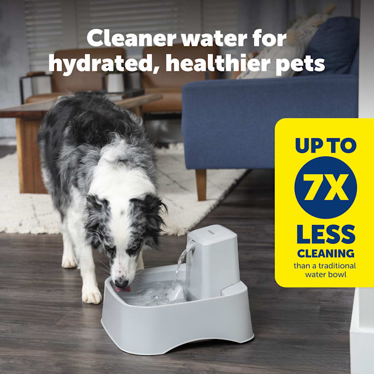 2 gallon dog water bowl
