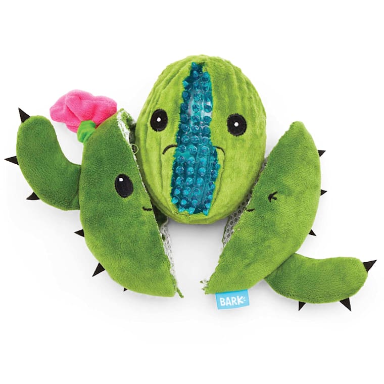 cactus dog toy with another inside