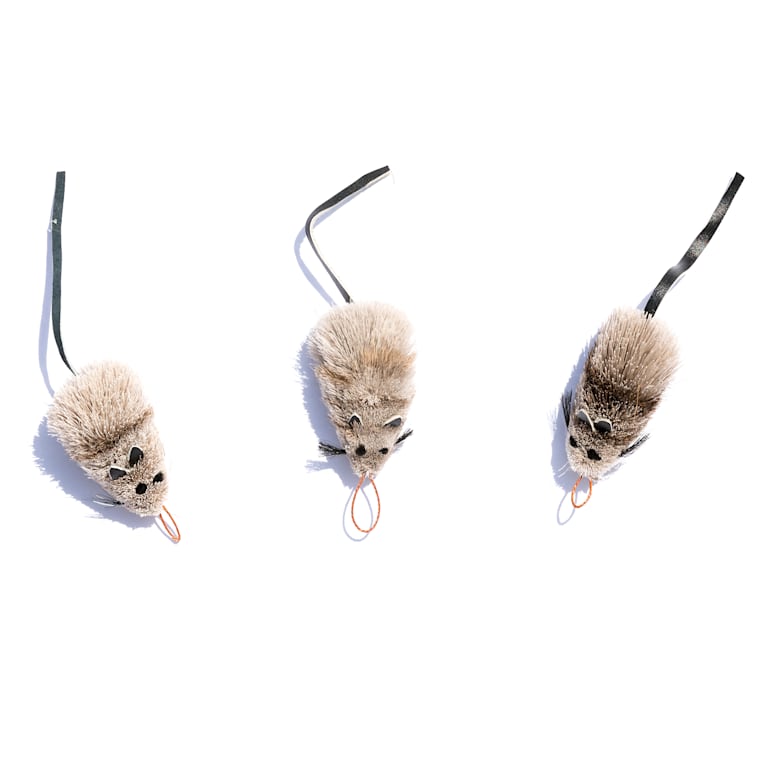 go cat wand toy cat catcher