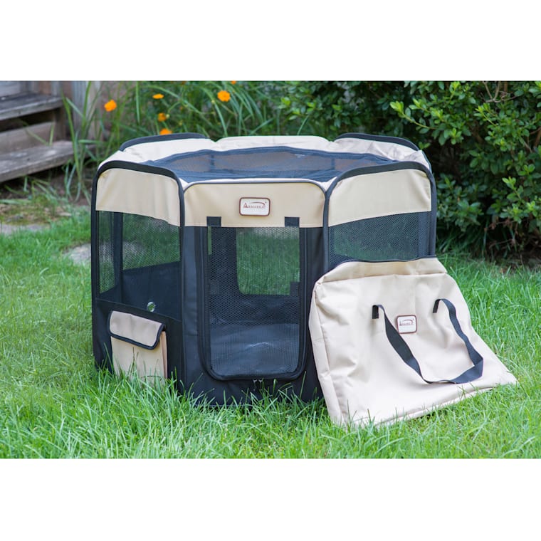 kitten playpen petco