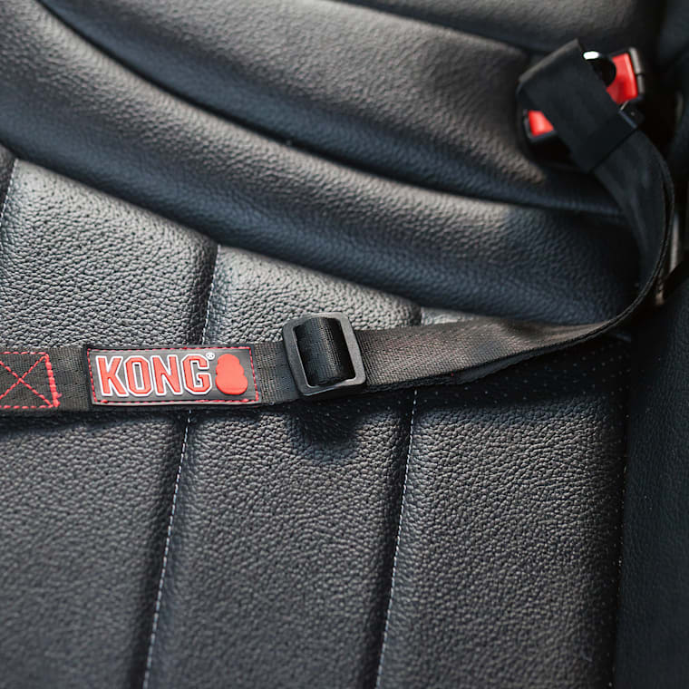 petco seat belt