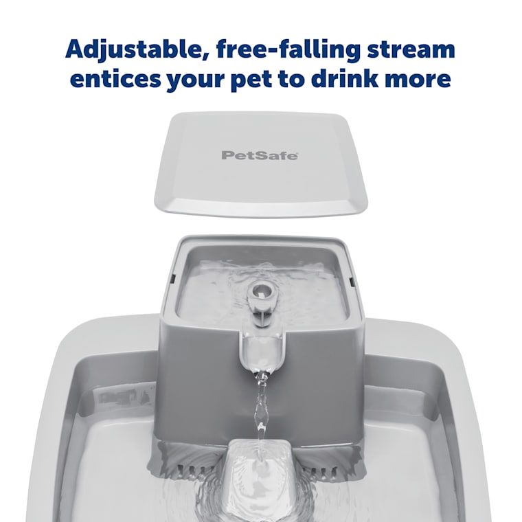 petco pet fountain