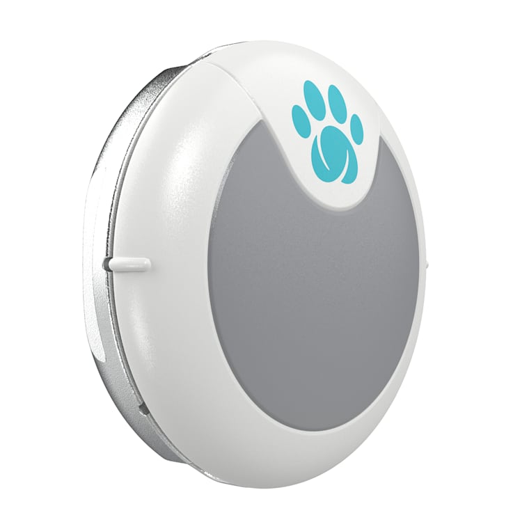 animo dog tracker