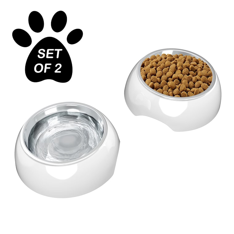 dog food and water station