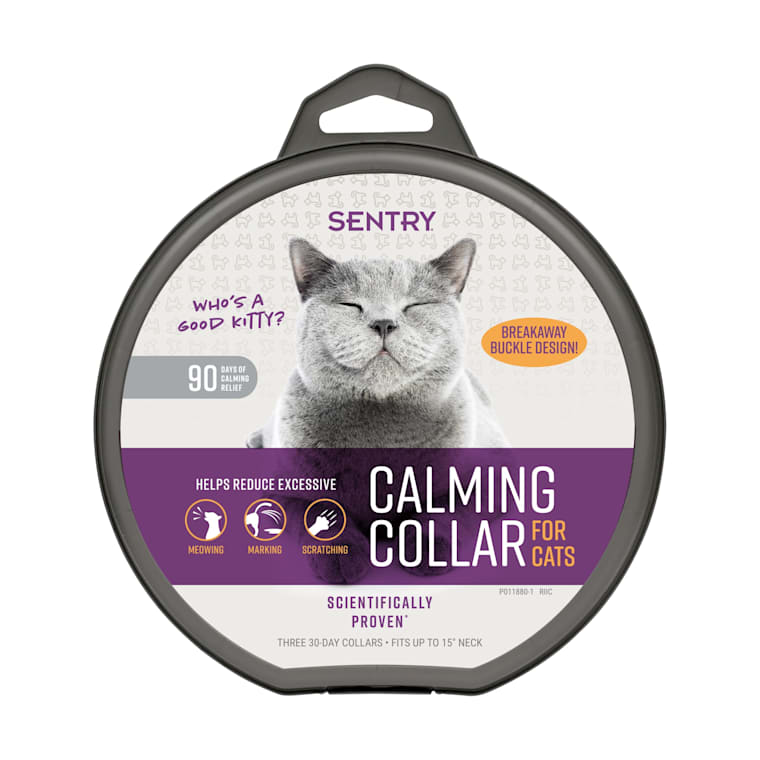 lavender cat collar