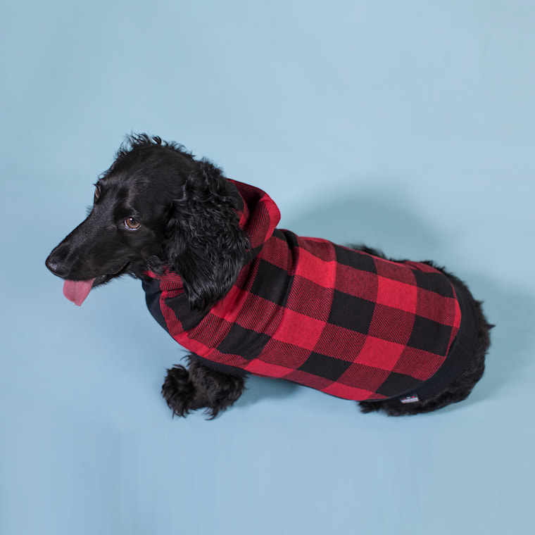 long dog clothing company