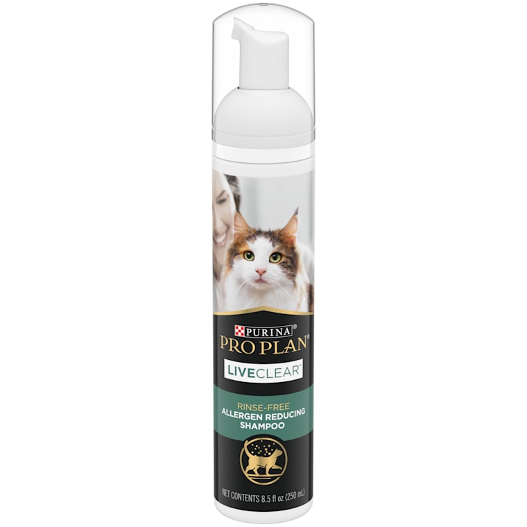 spray shampoo for cats