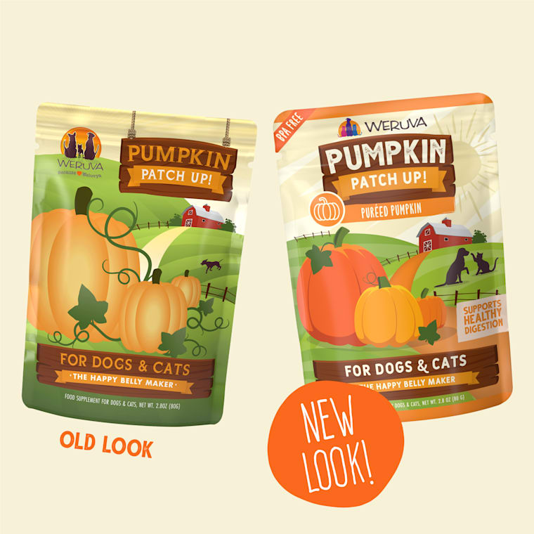 what kind of pumpkin for dogs
