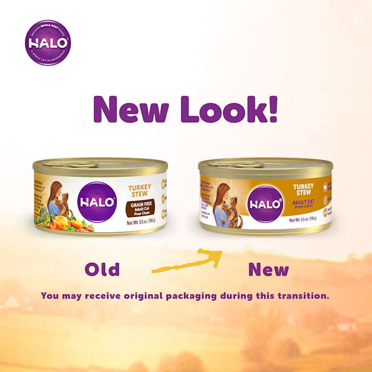 halo turkey cat food