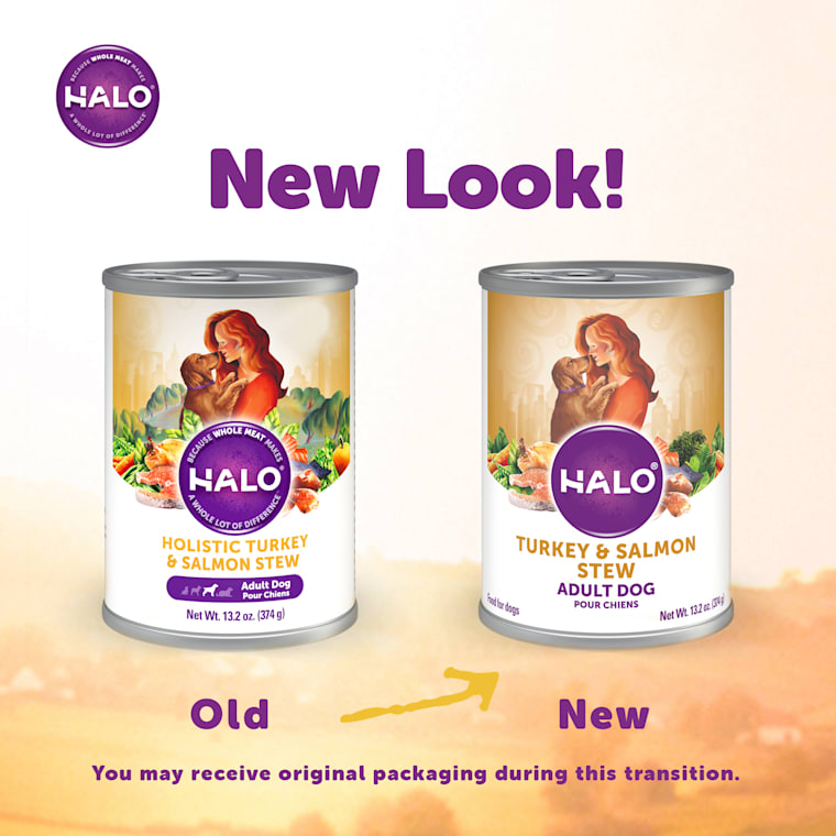 halo salmon dog food