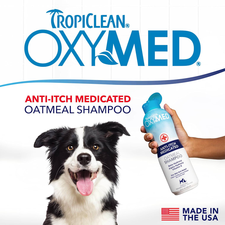 oxymed dog shampoo