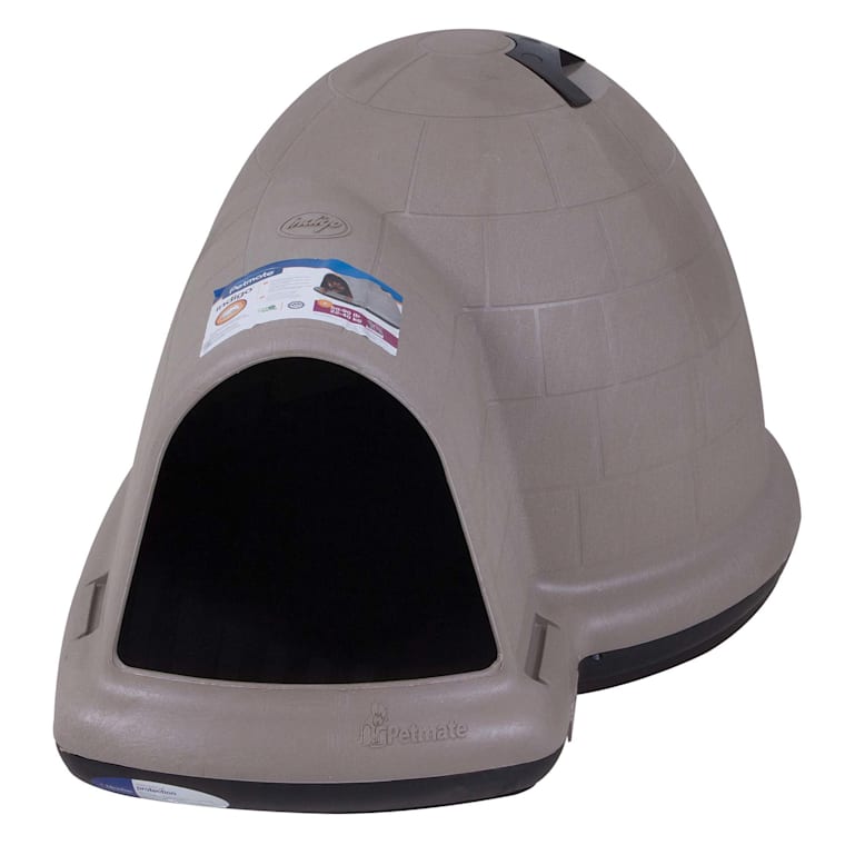 igloo heated dog house