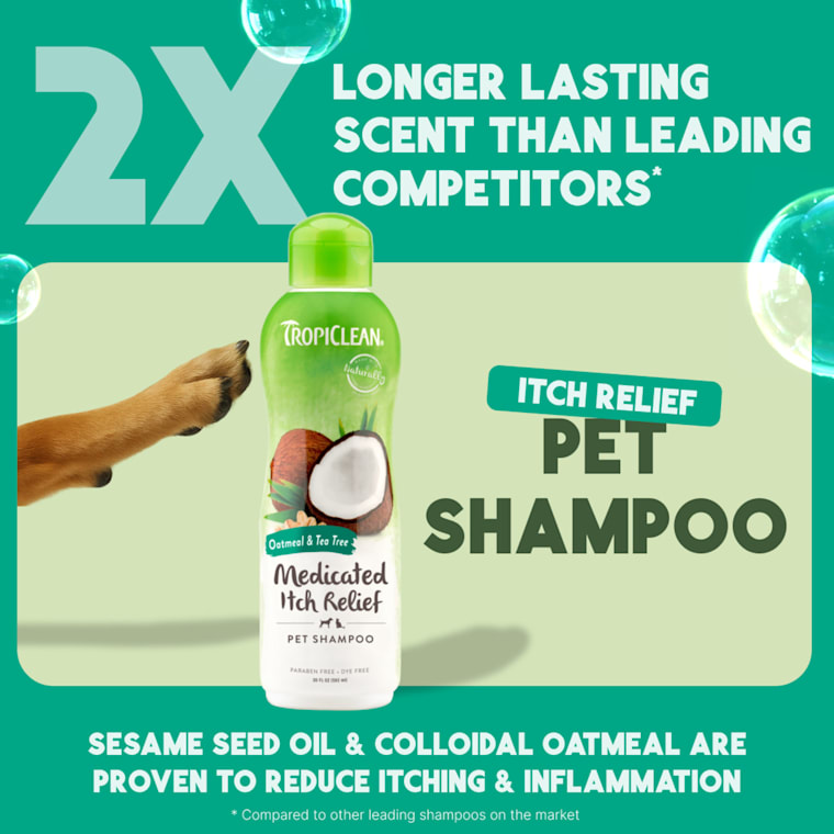 dog mite shampoo petco