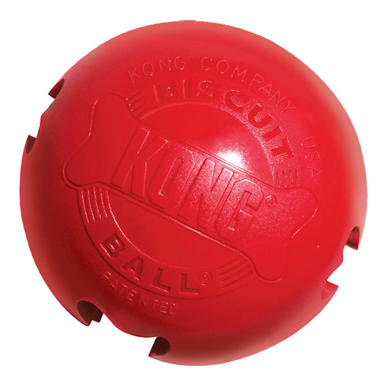 petco kong ball