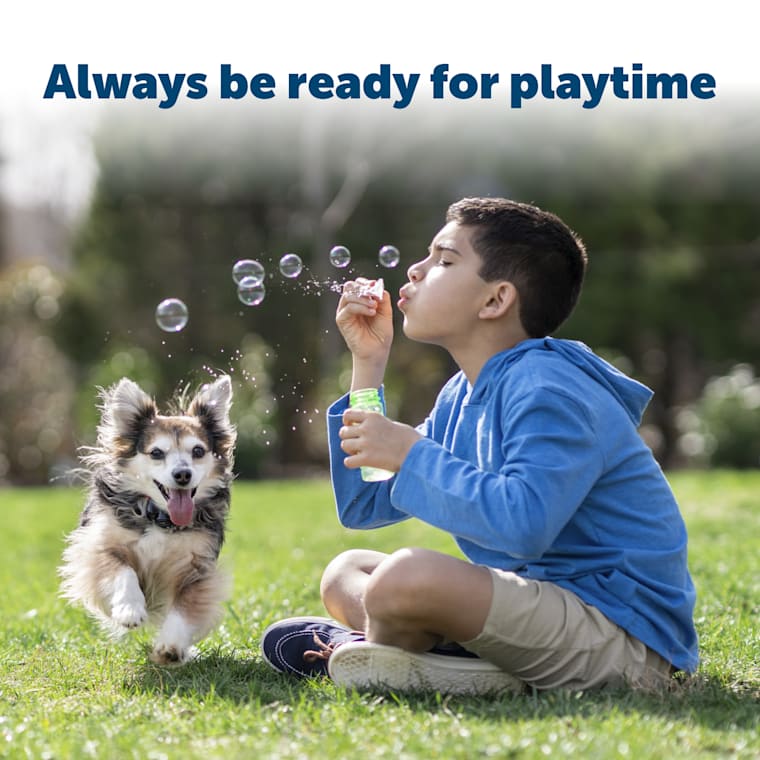 petsafe wireless collar replacement