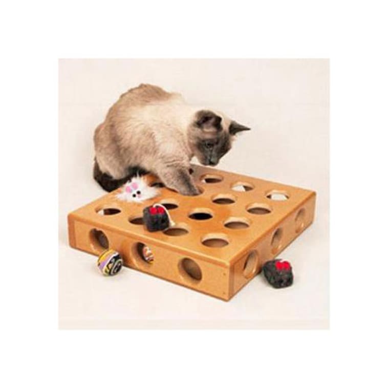 contemporary dog bowls