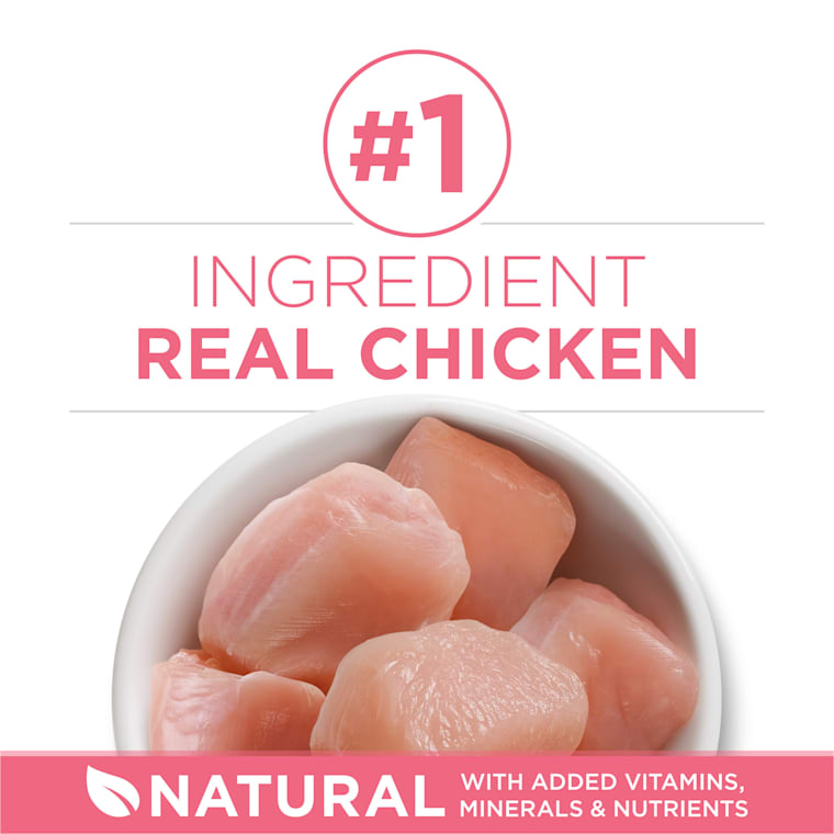 kitten formula petco