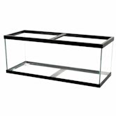 petco reptile starter kit