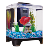 Imagitarium 1 4 Gallon Betta Aquarium Petco