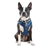 good2go harness front walking