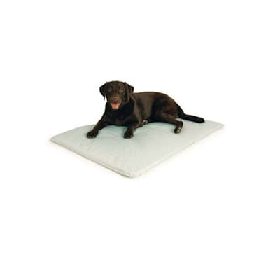 dog cooling mat petco