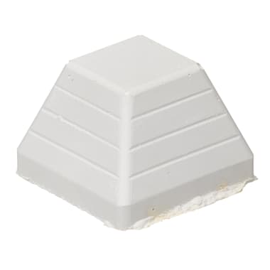 api vacation fish feeder