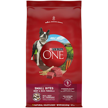 purina one small dog adult