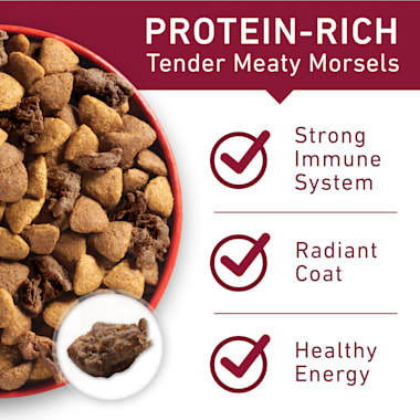 purina one small dog adult