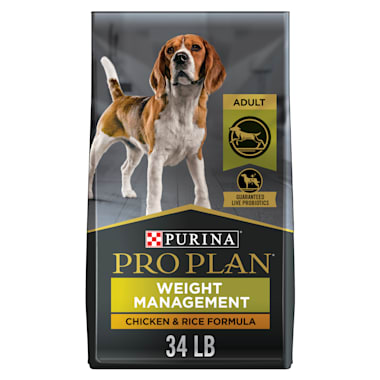 purina one my dog is active