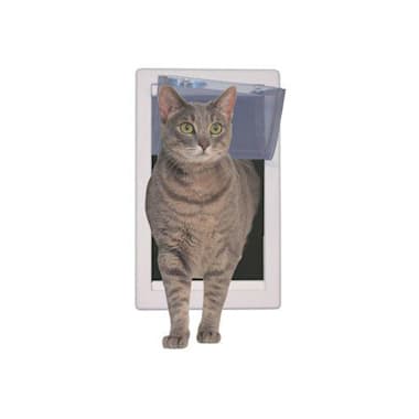 door frame cat toy