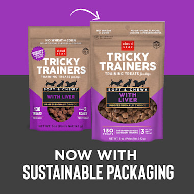 tricky trainers chewy