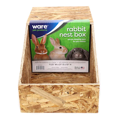 petco sell rabbits