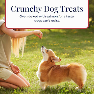 blue buffalo basics salmon