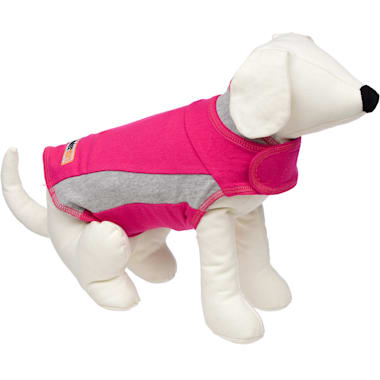 petco anxiety vest