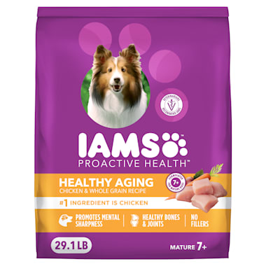 iams mature dog food