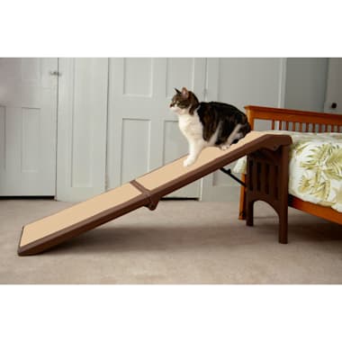 petco folding dog ramp