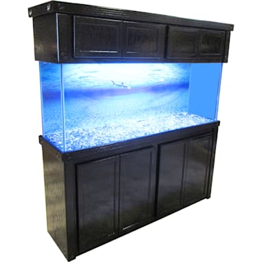 petco 125 gallon fish tank