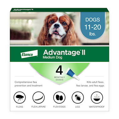 advantage ii for small dogs side effects