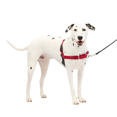 petsafe 3 in 1 harness petco