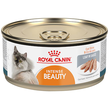 royal canin intense
