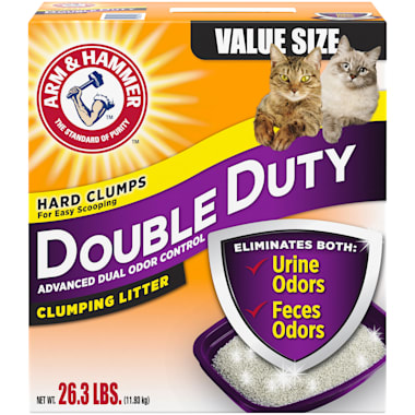 cheap cat litter in bulk
