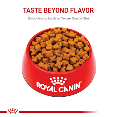 royal canin australian shepherd puppy food