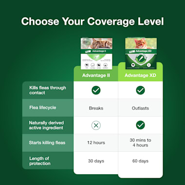 petco advantage large cat