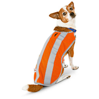 good2go yellow dog flotation vest