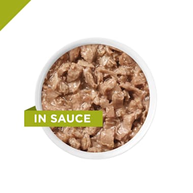 purina pro plan delicate wet cat food